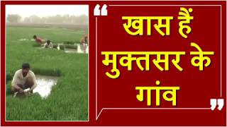 Watch à¤ªà¤¾à¤¬à¤‚à¤¦à¥€ à¤•à¥‡ à¤¬à¤¾à¤µà¤œà¥‚à¤¦ 62 à¤—à¤¾à¤‚à¤µà¥‹à¤‚ à¤®à¥‡à¤‚ à¤¹à¥‹ à¤°à¤¹à¥€ à¤¹à¥ˆ à¤§à¤¾à¤¨ à¤•à¥€ à¤¬à¥à¤†à¤ˆ, à¤œà¤¾à¤¨à¤¿à¤ à¤•à¥à¤¯à¤¾ à¤¹à¥ˆ à¤•à¤¾à¤°à¤£ Video