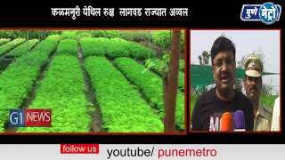 Watch à¤®à¤¹à¤¾à¤°à¤¾à¤·à¥à¤Ÿà¥à¤°  à¤¶à¤¾à¤¸à¤¨à¤¾à¤šà¤¾ à¤°à¥à¤•à¥à¤· à¤²à¤¾à¤—à¤µà¤¡  à¤¸à¤‚à¤•à¤²à¤ª   à¤•à¤³à¤®à¤¨à¥à¤°à¥€ à¤¯à¥‡à¤¥à¤¿à¤² à¤°à¥à¤•à¥à¤·  à¤²à¤¾à¤—à¤µà¤¡ à¤°à¤¾à¤œà¥à¤¯à¤¾à¤¤ à¤…à¤µà¥à¤µà¤² Video