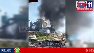 Watch à°‡à°¬à±à°°à°¹à±€à°‚à°ªà°Ÿà±à°¨à°‚à°²à±‹  à°µà°¿à°Ÿà°¿à°ªà°¿à°¯à°¸à± à°ªà±à°²à°¾à°‚à°Ÿà± à°²à±‹ à°ªà±‡à°²à°¿à°¨ à°Ÿà±à°°à°¾à°¨à±à°¸à±à°«à°¾à°°à±à°®à°°à± | à°¤à°ªà±à°ªà°¿à°¨ à°ªà±à°°à°®à°¾à°¦à°‚ | Tv11 News | 10-12-2017 Video
