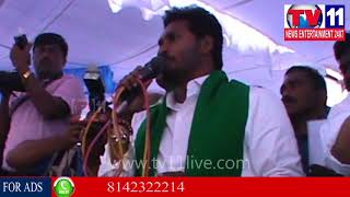 Watch YS JAGAN PADAYATRA AT BHUKKAPATNAM, ANANTHAPURAM | Tv11 News | 19-12-2017 Video