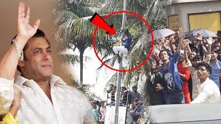 Watch FAN Climbs On Electric Pole To Wish Salman Khan EID MUBARAK Video