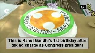 Watch Congress supporters celebrates Rahul Gandhiâ€™s 48th birthday Video