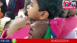 Watch PIGS ATTACK ON  SMALL GIRL IN ZAHEERABAD | Tv11 News| 08-01-2018 Video