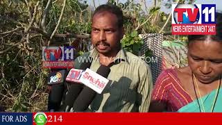 Watch BHIMAVARAM VILLAGE PEOPLE FACE PROBLEMS , VISAKHA | Tv11 News | 23-01-2018 Video