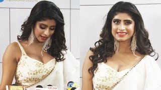 Watch Vindhya Tiwari At GOLD Awards 2018 Red Carpet Video