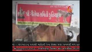 Watch News 11-04-2014 Video
