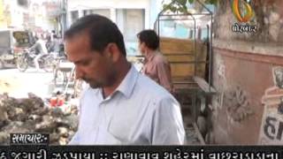 Watch 07-08-2014 Video