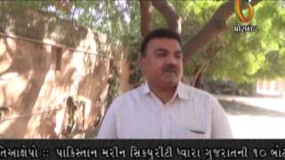 Watch 11- 12-2014 Video