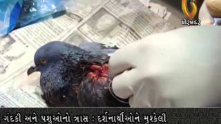 Watch Gujarat News Porbandar (07-01-2015) Video