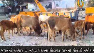 Watch Gujarat News Porbandar (08-01-2015) Video