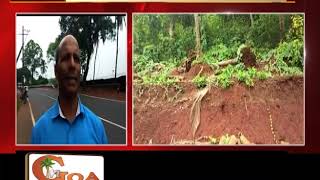 Watch 20 'dangerous trees' to be felled along Chicalim-Cortalim Highway Video