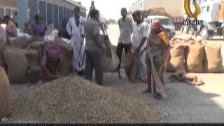 Watch Gujarat News Porbandar (16-11-2015) Video
