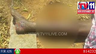 Watch SONS LEAVE THEIR FATHER OUTSIDE IN KURNOOL DIST | Tv11 News | 24-02-2018 Video