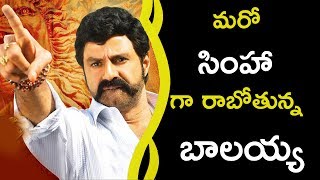 Watch Balakrishna Next Movie Title As Simha || à°®à°°à±‹ à°¸à°¿à°‚à°¹à°¾ à°—à°¾ à°°à°¾à°¬à±‹à°¤à±à°¨à±à°¨ à°¬à°¾à°²à°¯à±à°¯ Video
