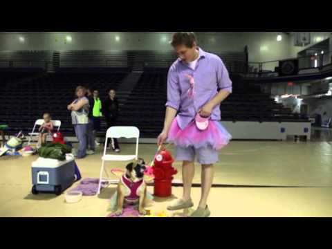 Watch Iowa College Finds Beauty in Bulldogs News Video Video