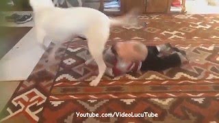 Watch Kompilasi Video Orang Jatuh Bikin Kasihan Tapi ada Yang Lucu Juga Part 3 Video