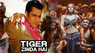 Watch Salman Khan To EDIT Tiger Zinda Hai, Sunny Leone's Trippy Trippy Song First Look From Bhoomi Video
