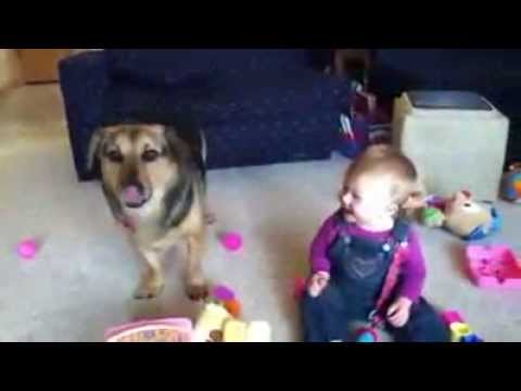 Watch Watch This Video and Laugh for 2 Minutes - Best Funny Video Video
