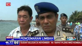 Watch Ribuan Ikan di Pantai Ancol Ditemukan Mati Video
