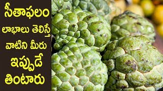 Watch à°¸à±€à°¤à°¾à°«â€Œà°²à°‚ à°²à°¾à°­à°¾à°²à± à°¤à±†à°²à°¿à°¸à±à°¤à±‡â€¦ à°µà°¾à°Ÿà°¿à°¨à°¿ à°®à±€à°°à± à°‡à°ªà±à°ªà±à°¡à±‡ à°¤à°¿à°‚à°Ÿà°¾à°°à±..!Health Benefits Of CUSTARD APPLE (Sitaphal) Video