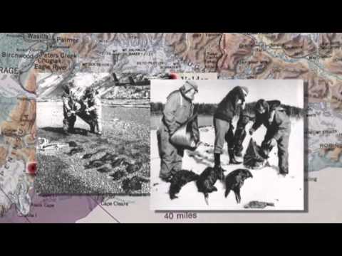 Watch Lingering Impact of Exxon Valdez Oil Spill News Video Video