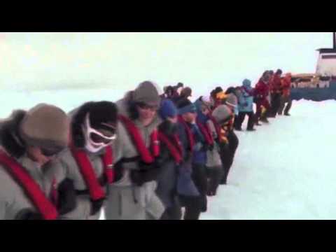 Watch Russian Antarctica-stranded Ship Reaches Harbor News Video Video