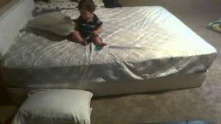 Watch My Son The Genius Video