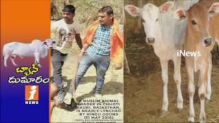 Watch Cattle Ban Creates Storm in India | Eaters Protests Against Central Govt | iNews Video