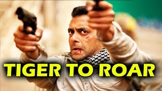 Watch Move Over Tubelight, Now Salman's Tiger To Roar In Christmas 2017 Video