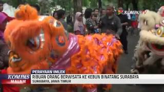 Watch Perayaan Imlek Meriahkan Kebun Binatang Video