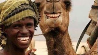 Watch Video Lucu Orang - Orang Arab Yang Bikin Ketawa Video