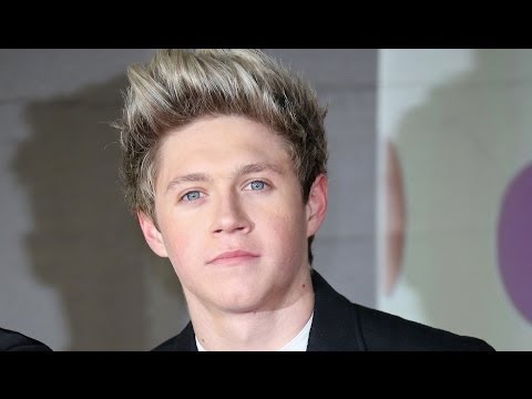 Watch Niall Horan Taking Barbara Palvin Home to Meet His Parents Video
