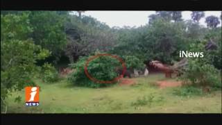 Watch Villagers Fear Over Bear Hulchal in Sompeta Mandal | Srikakulam | iNews Video
