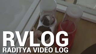 Watch RVLOG  - KUCING GAK TAHU DIRI Video