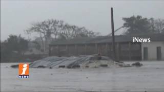 Watch Destroys Crops | Farmers Suffer Due To Unseasonal Rain In Chintalapudi | West Godavari | iNews Video