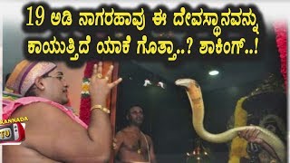 Watch 19 à²µà²°à³à²·à²—à²³à²¿à²‚à²¦ à²ˆ à²¹à²¾à²µà³ à²¦à³‡à²µà²¸à³à²¥à²¾à²¨à²µà²¨à³à²¨à³ à²•à²¾à²¯à³à²¤à³à²¤à²¿à²¦à³† à²•à²¾à²°à²£ à²¤à²¿à²²à²¿à²¦à²°à³† à²¶à²¾à²•à³ | Kannada News | Top Kannada TV Video