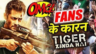 Watch Salman Khan CREDITS His Fans For Tiger Zinda Hai MASSIVE SUCCESS Video