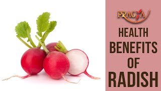 Watch Health Benefits Of Radish | Dr. Vibha Sharma (Ayurveda & Panchkarma Expert) Video