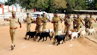 Watch Kerala Police dog squad rehearses for Republic Day parade Video
