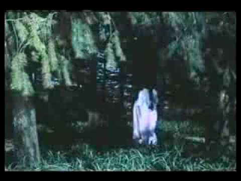 Watch  MERE DIL ME AAJ KYA HAI - Superhit Old Song Video