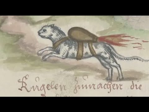 Watch Rocket Strapped to Cat in Early Warfare Manual News Video Video