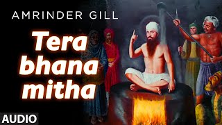 Watch Punjabi Devotional Song || Tera Bhana Mitha || Amrinder Gill Video