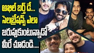 Watch Akkineni Akhil Birthday Celebrations Video | Nagarjuna | Celebrities Birthday Photos| Top Telugu TV Video