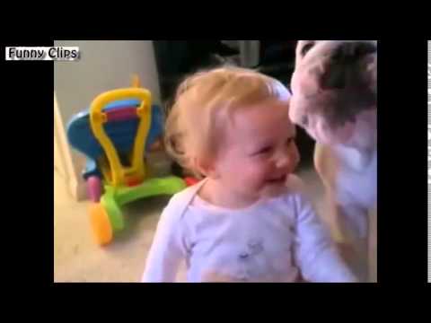Watch Funny videos - Dogs Love Babies Compilation 2015 NEW Video