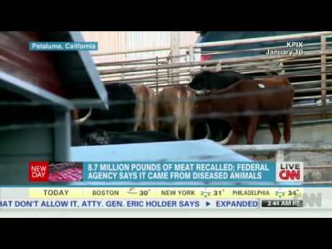 Watch 8.7 million pounds of meat recalled News Video Video