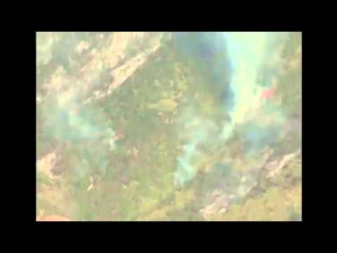 Watch Forest fires rage in Chile News Video Video
