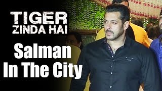 Watch Salman Khan In Tiger Zinda Hai Look At Ambani's Ganapati Bash 2017 Video