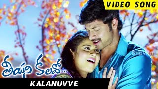 Watch Teeyani Kalavo Movie Songs - Kalanuuve Full Video Song - Sri Tej,Akhil Karteek,Hudasa Video