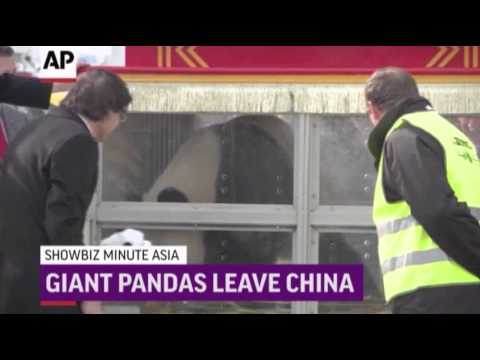 Watch ShowBiz Minute Asia- Zhou Xun, Pandas, "The Raid News Video Video
