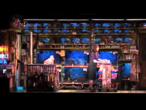 Watch 'Rocky' on Broadway News Video Video